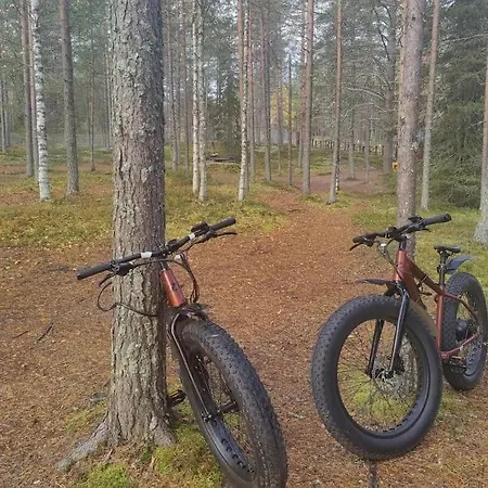 Daire Pytkyn Kaemppae