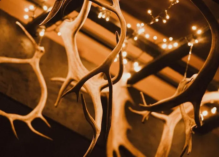 Pytkyn Kaemppae Апартаменты *