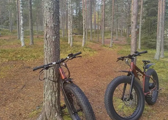 Апартаменты Pytkyn Kaemppae